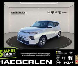 E- (39KWH) EDITION ACC+LED+FERNLICHTASS.