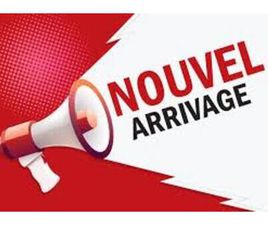 PATRIOT 4WD 75 TH ÉDITION/TOUT ÉQUIPÉ/GARANTI