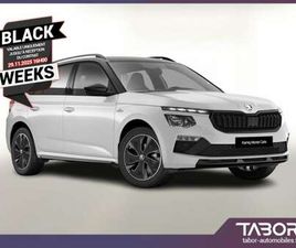 TSI 116 DSG MONTEC PANO MATRIX CAM