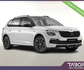 TSI 116 DSG MONTEC PANO MATRIX CAM