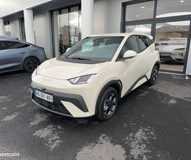 BYD DOLPHIN SURF 43.2 KWH 88 CH BOOST