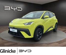 BYD DOLPHIN BYD DOLPHIN SURF BOOST TAGESZULASSUNG