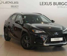 LEXUS UX UX 250H BUSSINES 2WD