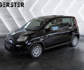 4X2 FIREFLY HYBRID 70 PANDINA