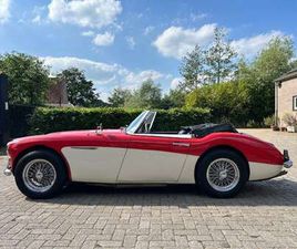 AUSTIN HEALEY 3000 BJ8