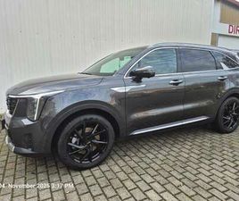 PLATINUM 4WD OHNE GLASDACH MIT AHZV