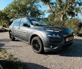 C4 CACTUS 1.2 PURET. BUSINESS
