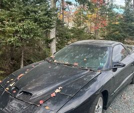 PONTIAC FIREBIRD TRANS AM 1995 PONTIAC TRANS AM WS6
