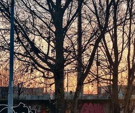 SEAT LEON CUPRA R SEAT LEON CUPRA R ASI