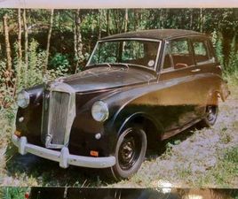 TRIUMPH MAYFLOWER TRIUMPH TRIUMPH MAYFLOWER