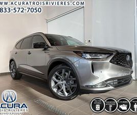 A-SPEC / CUIR ROUGE / EMBLÈMES NOIRS / LUMI