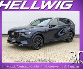 3.3L (254PS) HOMURA PLUS PANODACH 7-SITZER