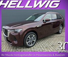 3.3L (254PS) TAKUMI PLUS PANODACH 7-SITZER