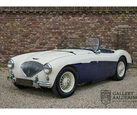 AUSTIN HEALEY 100 100M ROADSTER