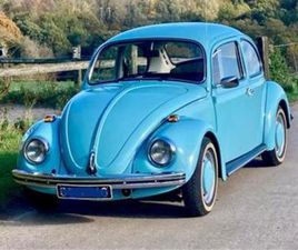 VOLKSWAGEN BEETLE VOLKSWAGEN KEVER — VOLKSWAGEN — MARKTPLAATS