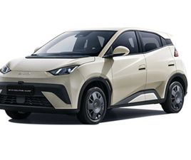 BYD DOLPHIN ACTIVE 65 KW (88 CV)