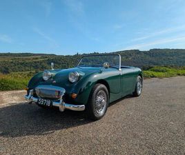 AUSTIN HEALEY SPRITE MK1 (WINTERPREIS)