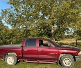 DODGE DAKOTA 2000 DODGE DAKOTA