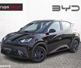 BYD DOLPHIN BYD DOLPHIN SURF