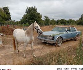 CADILLAC SEVILLE CADILLAC SEVILLE