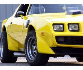 PONTIAC FIREBIRD TRANS AM PONTIAC FIREBIRD TRANS AM 1979 - GELBER TEUFEL