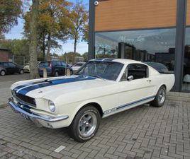 FORD MUSTANG - GT 350 ALS IN SHELBY MOTOR VAN RACING