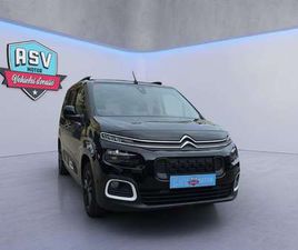 TALLA M BLUEHDI 100 S&S 100 AÑOS