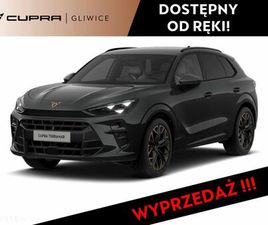 CUPRA TERRAMAR 2.0 TSI 4DRIVE ADVANTAGE EDITION DSG