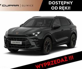 CUPRA TERRAMAR 2.0 TSI 4DRIVE ADVANTAGE EDITION DSG