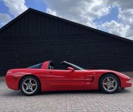CHEVROLET CORVETTE C5 COUPE EU-MODEL 107 DKM NL KENTEKEN — OLDTIMERS — MARKTPLAATS