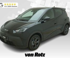 DOLPHIN SURF COMFORT