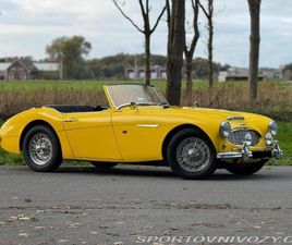AUSTIN HEALEY 100-6 AUSTIN HEALEY 100 6 1957