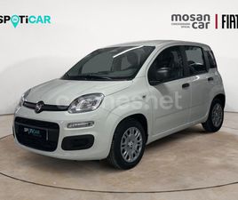 FIAT PANDA PANDA 1.0 HYBRID ICON
