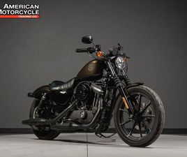 GRANDIN DALLAS 2020 HARLEY-DAVIDSON SPORTSTER IRON 883