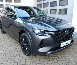 E-SKY PHEV AWD 7-SITZER HOMURA-PLUS CONVENIENCE&