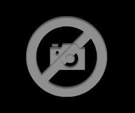 CITROËN C5 X 1 1.6 PLUG-IN HYBRID 225 E-EAT8 MAX HYBRIDE RECHARGEABLE DE 2024 SUR MECHELEN (2800) | SPOTICAR