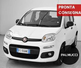 FIAT PANDA PANDA 1.2 EASY