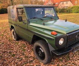 MERCEDES G KLASSE 250GD WOLF H KENNZEICHEN
