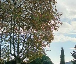 HYUNDAI GALLOPER GALLOPER EXCEED