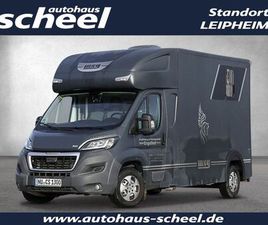 PEUGEOT BOXER MSG PFERDETRANSPORTER AHK/KAM./BLUET. RADI