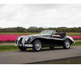 JAGUAR XK140 XK 140 DHC NOIR - 1955