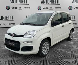 FIAT PANDA 1.0 FIREFLY HYBRID ICON S&S 70CV NUOVA A JESI