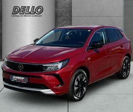 ELEGANCE ACC DAB SHZ LENKRADHZG LED PARKLENKASS. T