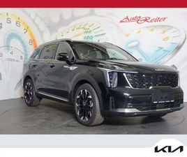 2,2 CRDI SCR AWD PLATIN DCT *VOLLAUSSTATTUNG*