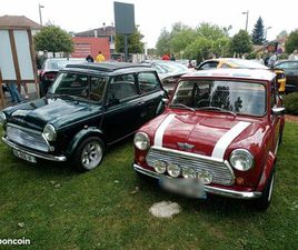MINI 1000