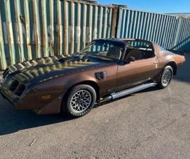 PONTIAC FIREBIRD TRANS AM PONTIAC TRANS AM 1980 TARGA ZEER MOOIE AUTO — OLDTIMERS — MARKTPLAATS