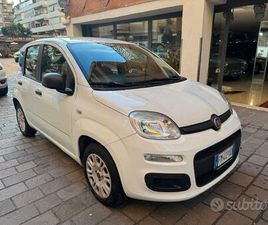 FIAT PANDA FIAT PANDA 1.2 EASY UNICO PROPRIETARIO