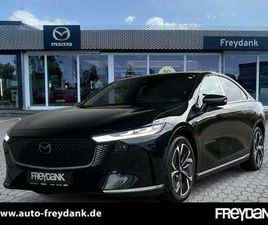 EV 258PS TAKUMI PLUS