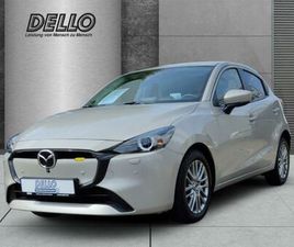 EXCLUSIVE-LINE 1.5 HUD AD LED BLENDFREIES FERNL. A