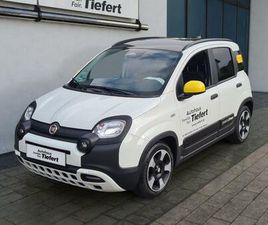 PANDINA 1.0 GSE HYBRID